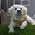 Jane Richardson's profile image