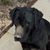 Marcia Lucas's profile image