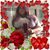 Karin Bryan Couch's profile image