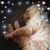 Dawn Magee's profile image