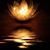 Lyn Bostic's profile image