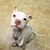 Cindy Sexton Scheel's profile image