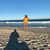 Karen Brick Werthan's profile image