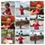 Michelle Gause Boesch's profile image