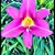 Amber Christian Owens's profile image