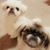 JooYeun Lee's profile image
