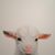 Sue Pallesen's profile image