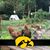 Amber Richardson's profile image