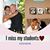 Liz Friedman Gaulin's profile image