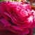 Adrienne D. Wilson's profile image