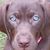 Paul Blume's profile image