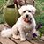 Sharon Heltzel's profile image