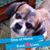 Deborah A Rizzo's profile image