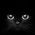 Kelly LaFortune Scholte's profile image