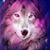 Amy West's profile image
