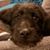 Scott Kirby's profile image