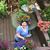 Stacy Cooper Mangum's profile image