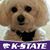 Susan Erickson's profile image