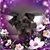 Deborah Kiefler's profile image