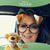 Cathy Jardine Feigl's profile image