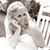 Sarah Walters's profile image