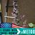Susan Shumway's profile image