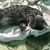 Zao G. Zaruma's profile image