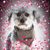 Cath Barnard's profile image