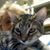 Kathy Bodziak's profile image