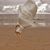 Kathrin Brenner's profile image