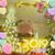 Connie Bee's profile image