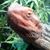 Michael Brosier's profile image