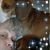 Deeds Michele's profile image