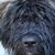 George Lemaster's profile image