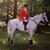 Susan Maxwell Fairchild's profile image
