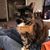 Sarah Bradham's profile image