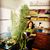 Sonia Kholamian Gebhardt's profile image