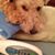 Holly Briscoe Atherton's profile image