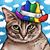John Biddle's profile image