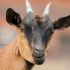 KATHIE H.'s profile image
