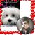 Joy Preslamb's profile image