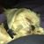 Kelly Perrin's profile image
