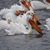 Joanie Barrus's profile image