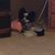 Tami Smith Hoatson's profile image