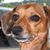 Mary Diaz's profile image