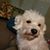 Joyce Hoppe's profile image