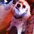 Mary Lou Hannan's profile image