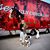 Kaylin Maree Schimpf's profile image