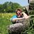 Diane Ebert's profile image