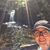 Amber Hettich's profile image